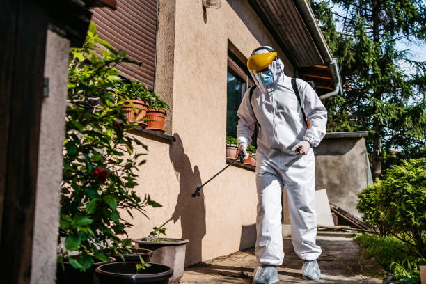 Pest Prevention Services in Mount Ephraim, NJ